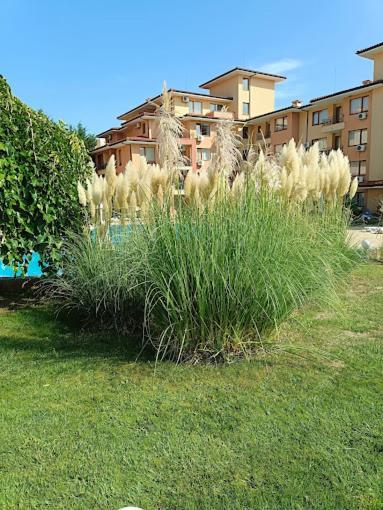 Magic Dreams Apartments سفيتي فلاس المظهر الخارجي الصورة